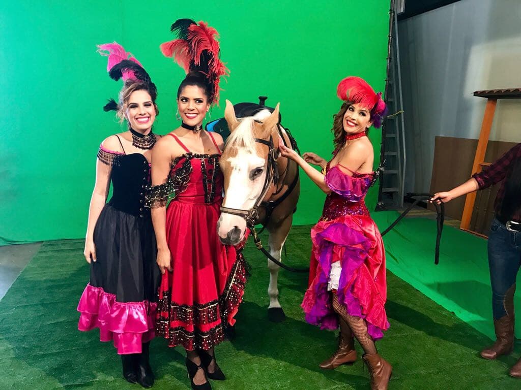 El caballo no podía faltar y estas bellezas emplumadas estaban listas para dar un paseo.