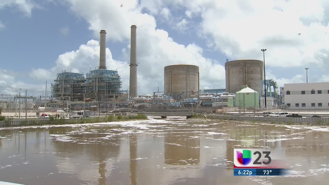 Demandarían a la FPL por contaminación en Biscayne