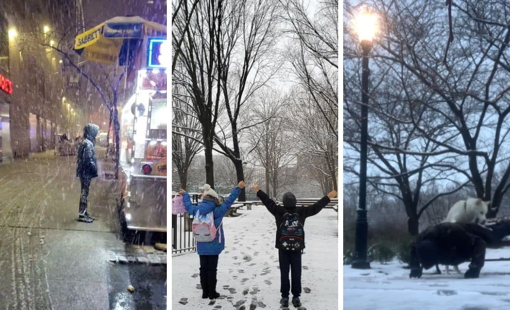 La noche del 27 de febrero se presentó la primer nevada de consideración de la temporada invernal en Nueva York. Ciudadanos compartieron imágenes sobre cómo disfrutaron de la caída de nieve.