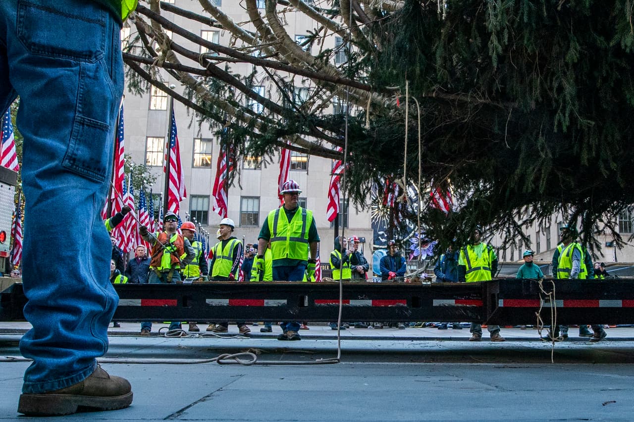 Los trabajadores estabilizan el árbol de Navidad del Rockefeller Center 2023 mientras una grúa lo levanta.