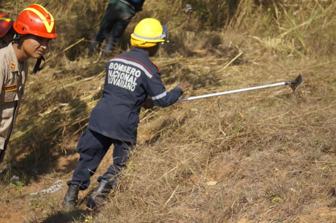 Bomberos venezolanos combatiendo un incendio forestal.