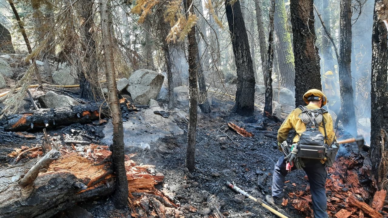 Mujer del Área de la Bahía en bikini provoca incendio forestal cerca de Lake Tahoe