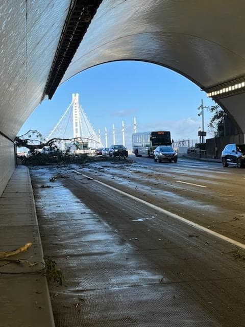 El incidente provocó el cierre de varios carriles del puente en dirección hacia San Francisco, lo que ocasionó un severo embotellamiento vial que se prolongó por más de una hora.