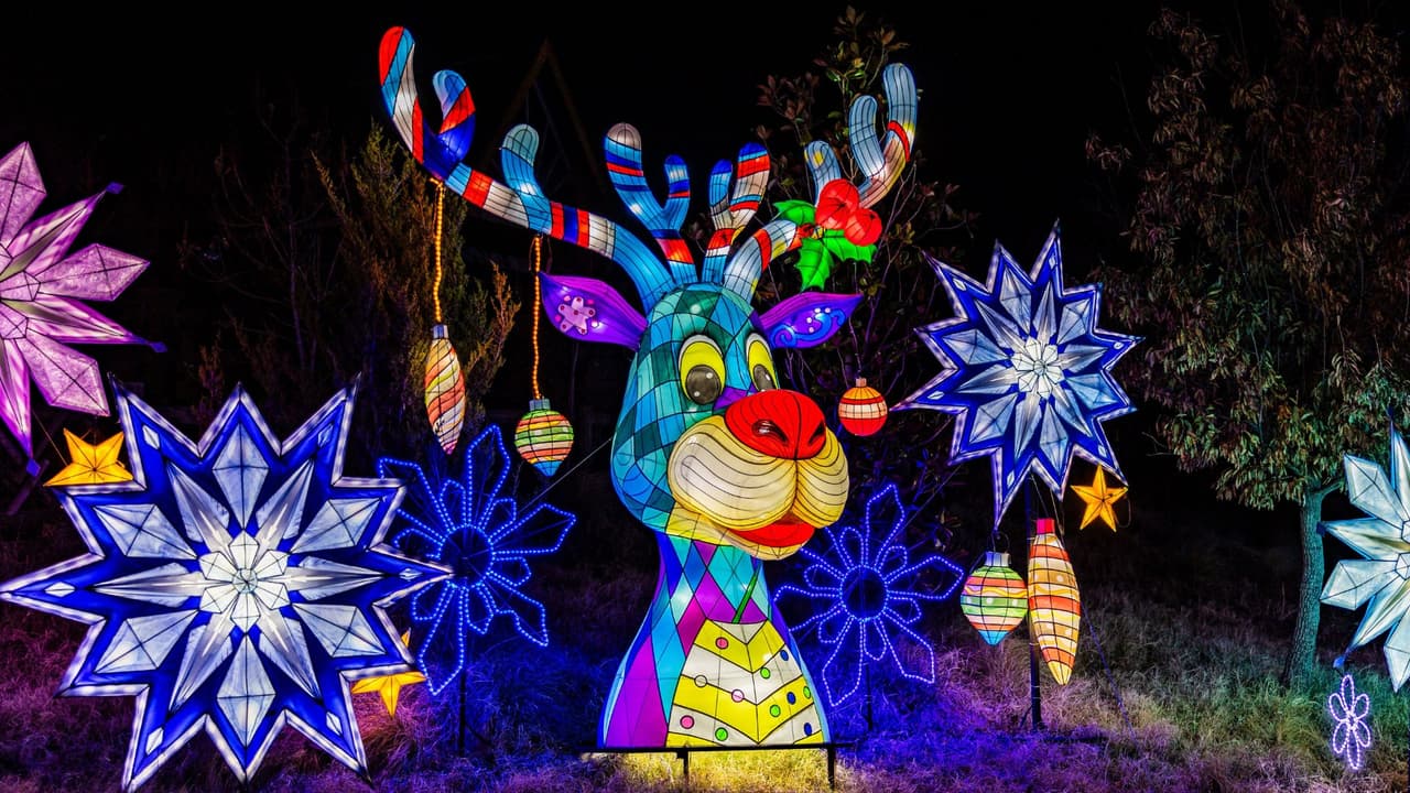 Más de 10 nuevas exhibiciones de linternas gigantes que capturan la esencia de la naturaleza.