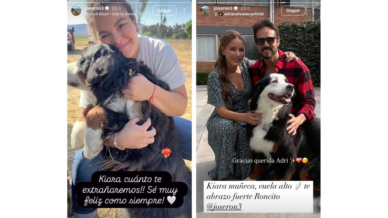 Lucerito Mijares es una de las famosas que reaccionó a la muerte de Kiara, perrita de José Ron.