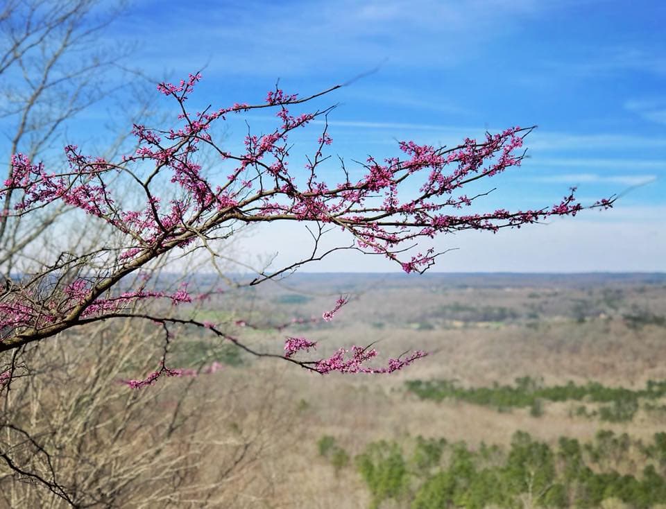 Conoce más sobre Morrow Mountain State Park, 
<b><a href="https://www.ncparks.gov/state-parks/morrow-mountain-state-park">aquí</a></b>.
