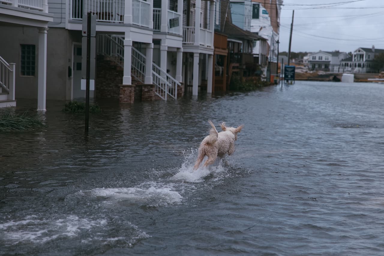 Las inundaciones todavía persistían en algunas áreas durante la mañana del lunes, por lo que equipos de emergencia continuaban trabajando para asistir a residentes que permanecían atrapados.