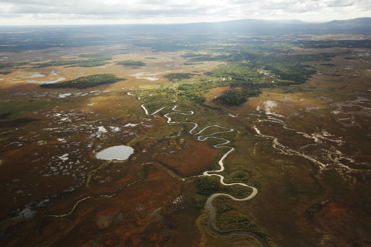 Bristol Bay, en Alaska, tiene el hábitat para salmones más grande del mundo, con más de 30 millones de peces que regresan del océano cada año, para nadar por los ríos hacia sus áreas de desove.
