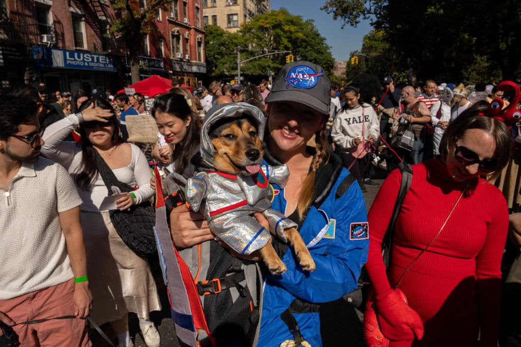 Con atuendos coloridos decenas de mascotas y sus dueños desfilaron por el East Village.
<br>