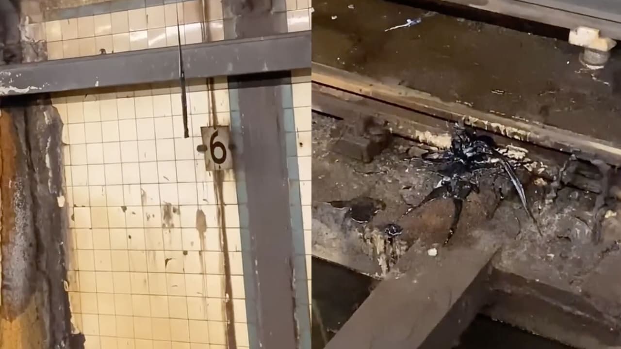 Captan 'extraña criatura' en el Metro de Nueva York y provoca divertidas teorías