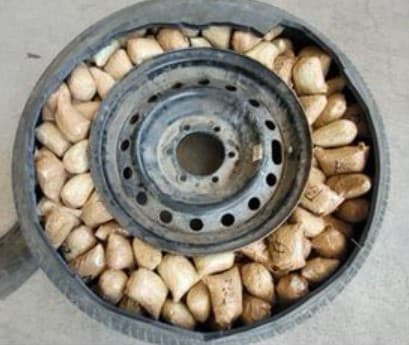 Entre finales de agosto y los primeros días de septiembre, agentes de Aduanas y Protección Fronteriza (CBP en inglés) lograron 
<b>decomisar miles de pastillas de fentanilo que estaban siendo trasladadas en trenes, vehículos y más</b>.