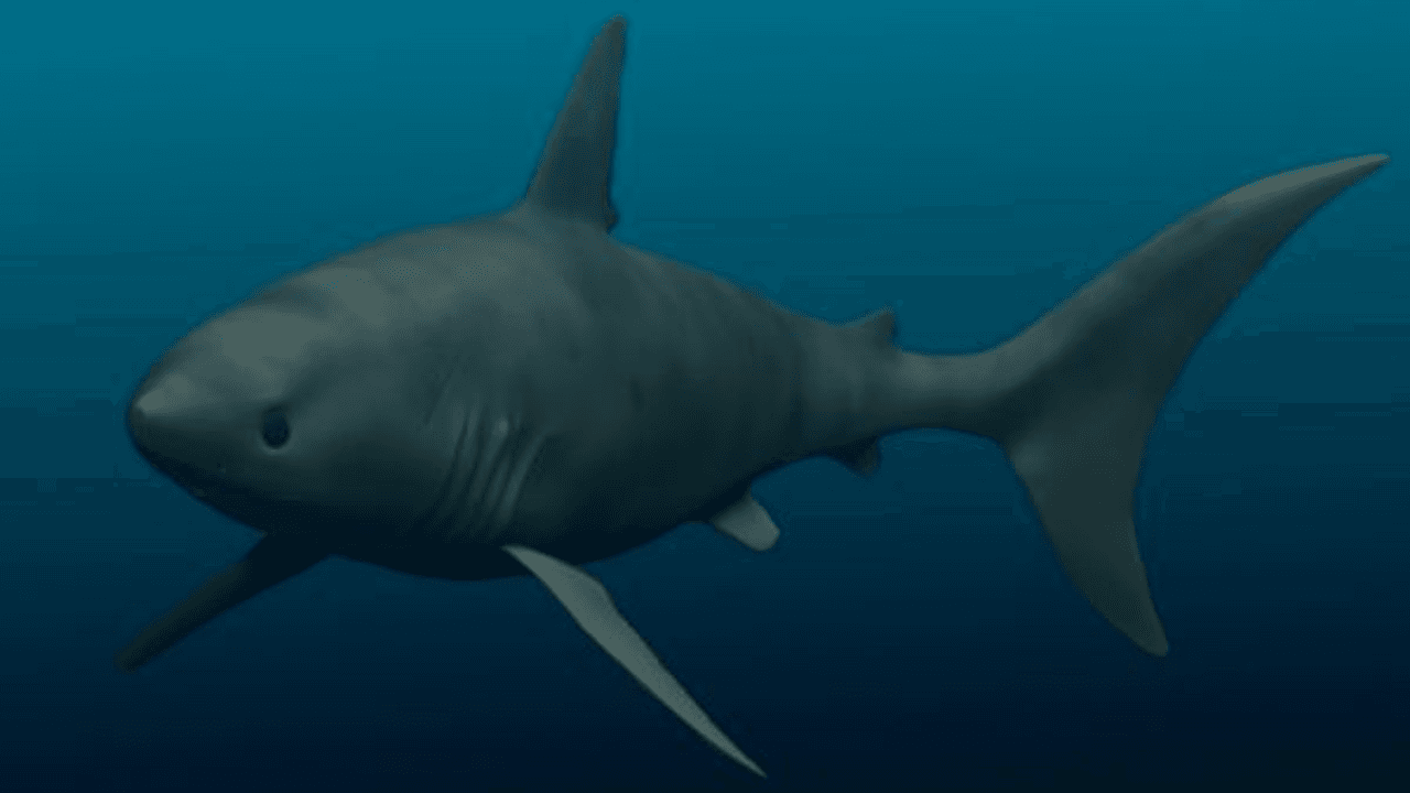 Tiburones más grandes que un autobús: estas criaturas habitaron los mares hace millones de años
