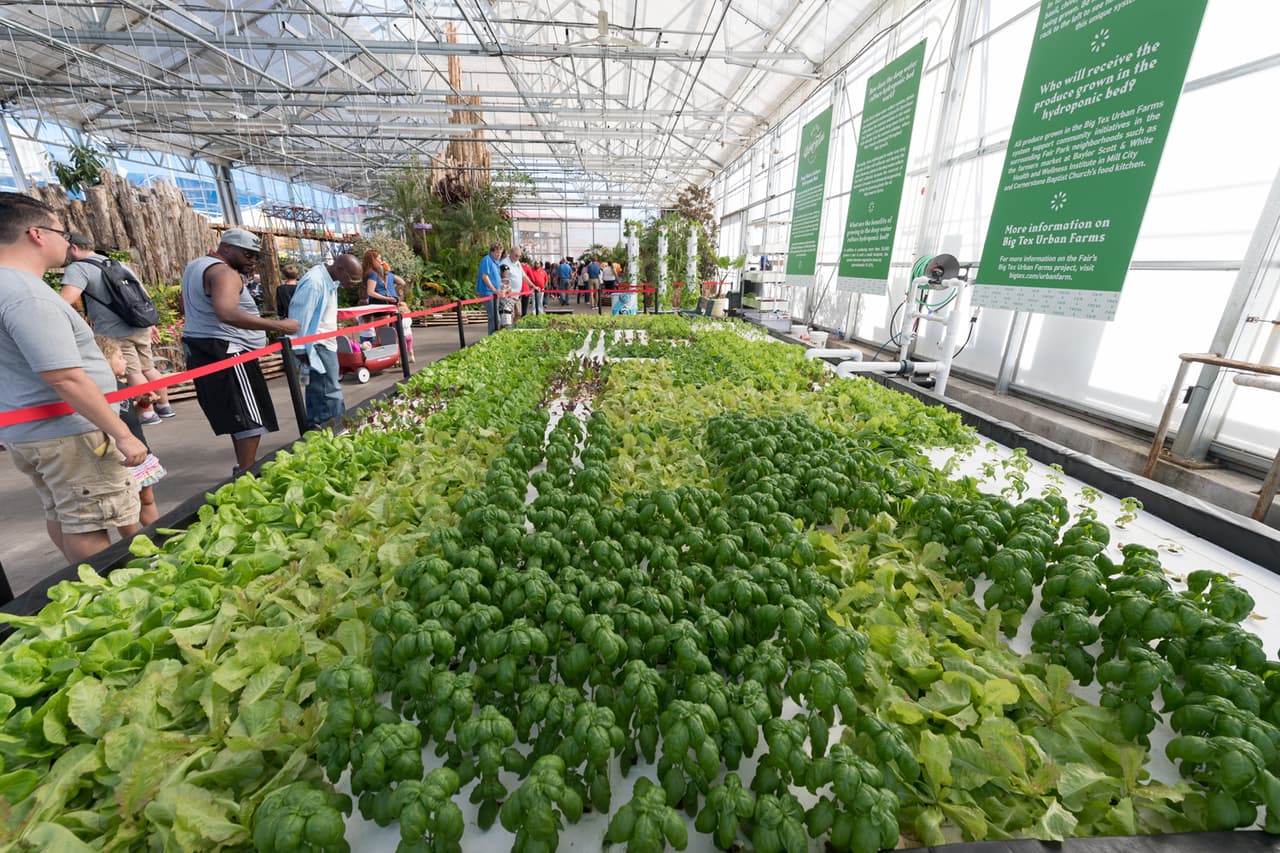 Este año también se celebrará las 
<a href="https://bigtex.com/event/innovations-in-agriculture/2018-09-28/">innovaciones en agricultura</a>. Se podrá visitar una exhibición sobre cómo desarrollar cultivos en el interior de los hogares. El lema de esta feria es "celebrado la innovación texana" y el Hall of State tendrá una exhibición que recorre los inventos realizados por texanos.