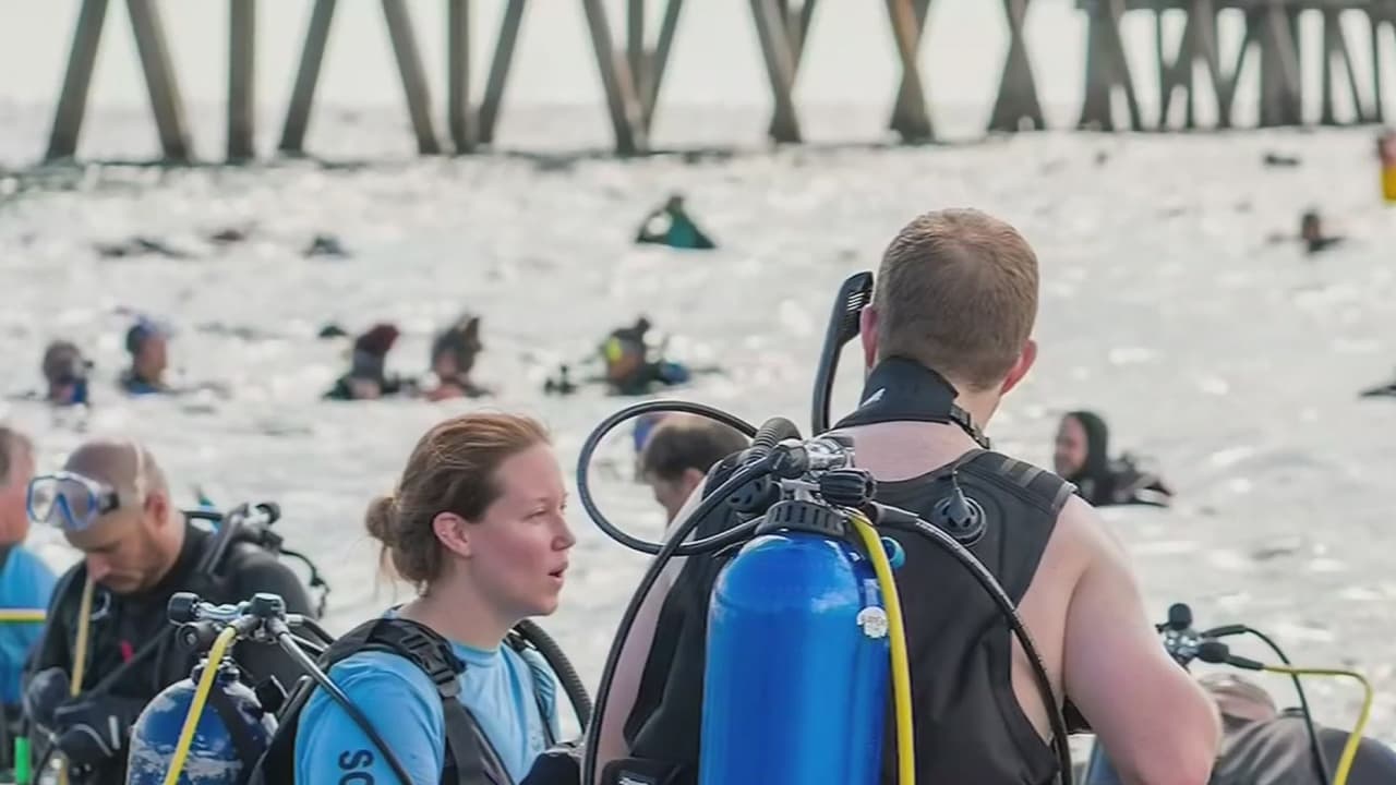 Cientos de buzos hacen una limpieza marina en el sur de Florida y marcan un récord mundial Guinness