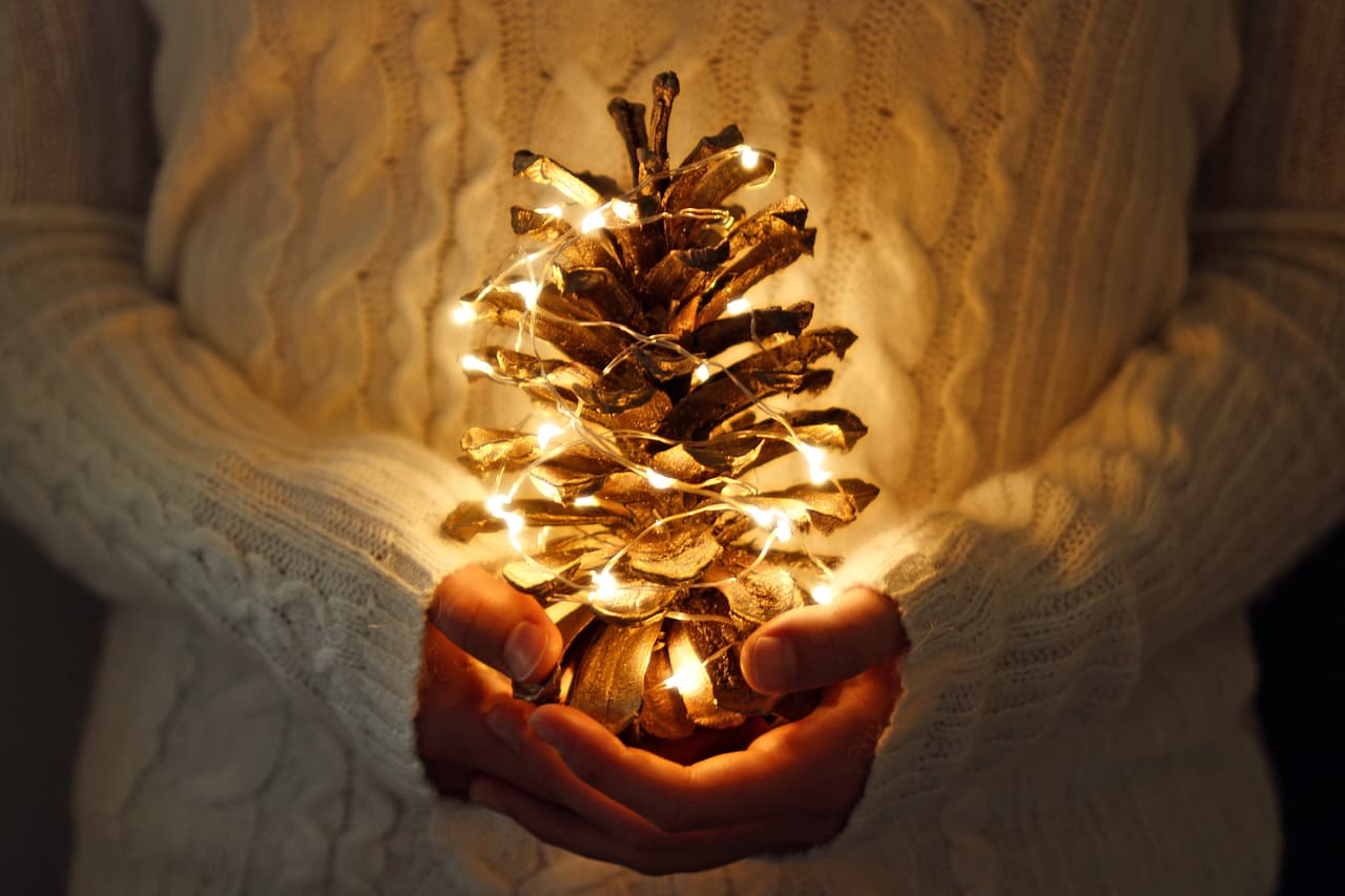 Si tienes viejas guirnaldas y artefactos de luces para decorar que vienes guardando desde hace años, es buena idea hacer una renovación. Las más modernas guirnaldas de luces LED no solo consumen aproximadamente 70% menos energía sino que también significan menos riesgo de provocar un incendio.