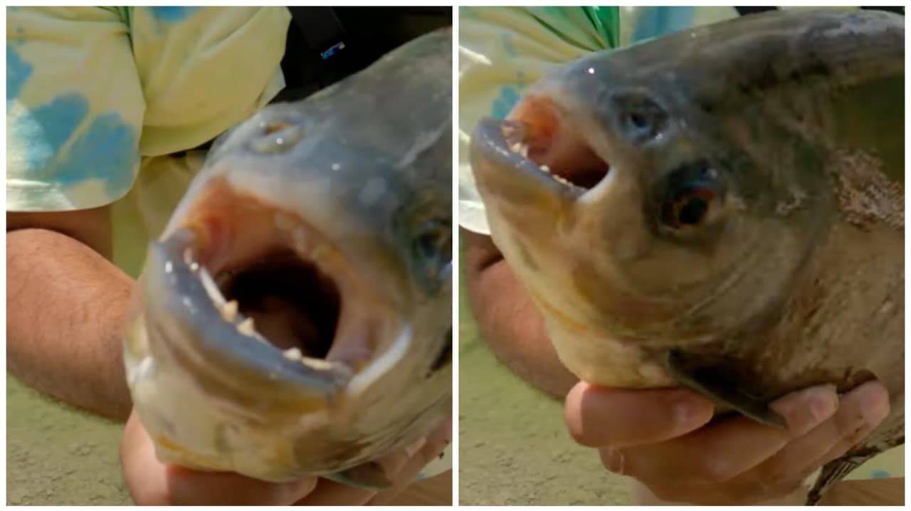 Eric Estrada salió a pescar en North Miami Beach y se llevó una sorpresa.