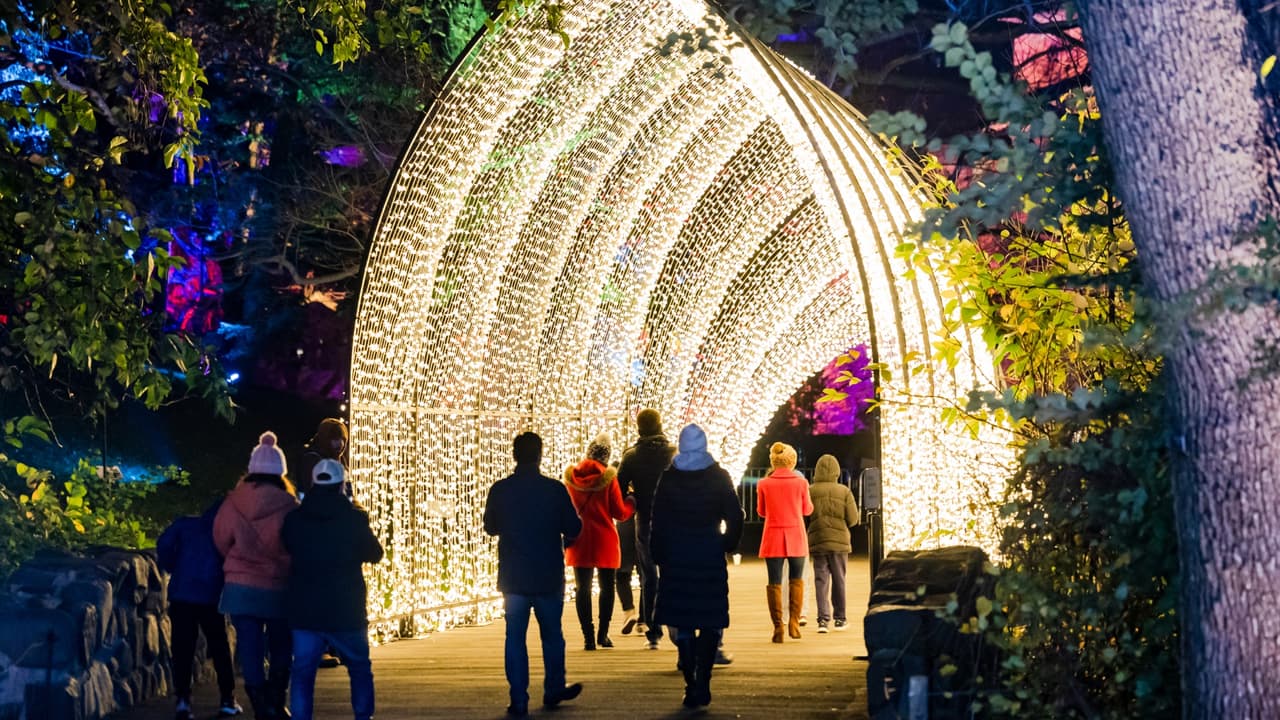 Regresa el paisaje de luces del Jardín Botánico de Brooklyn: cómo obtener boletos