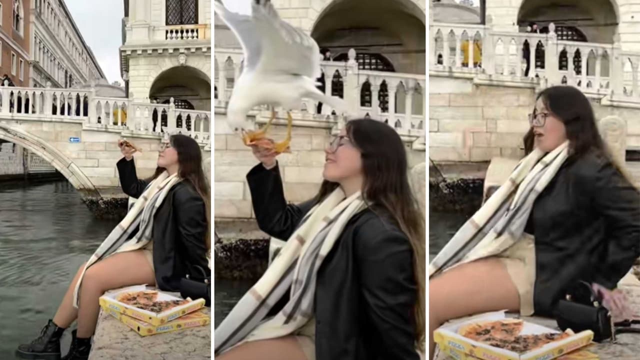 Joven trata de capturar la foto perfecta en Venecia y una gaviota arruina su plan
