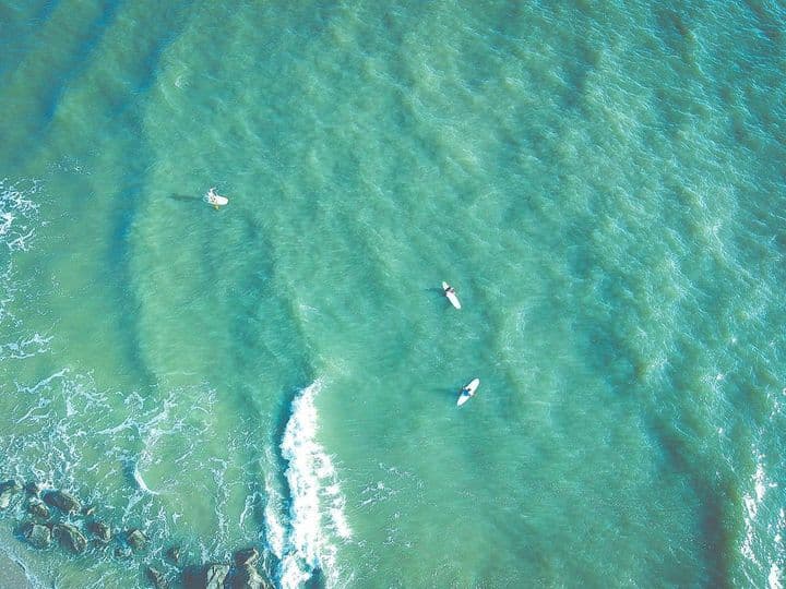 <b>Little Tybee Island Beach</b>
<br>Sitio web: 
<a href="https://visittybee.com/article/little-tybee">https://visittybee.com/article/little-tybee</a> 
<br>
<b><a href="https://goo.gl/maps/DjZHHqDSa3gPLAzs8">Cómo llegar</a> </b>
<br>
<br>Justo al sur de la isla barrera se encuentra una reserva natural pura y deshabitada llamada Little Tybee Island. A menudo pasada por alto por quienes visitan la zona, este tesoro escondido es en realidad el doble del tamaño de Tybee Island y solo se puede acceder a él en barco.