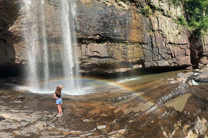 <a href="https://www.tripadvisor.com/AttractionProductReview-g35073-d19498066-Hiking_Excursion_at_Lula_Lake_Land_Trust-Lookout_Mountain_Georgia.html"><b>Adéntrate en terrenos poco conocidos</b></a>. La temporada también permite -a partir de una tarifa- visitas guiadas a sitios que no están abiertos al público regularmente. En la denominada Hiking Excursion at Lula Lake Land Trust, por ejemplo, visitarás Lula Lake Land Trust, que es una zona verde privada ubicado cerca de Chattanooga que no está abierta al público regularmente. Esta experiencia de caminata privada te brinda una gran oportunidad para explorar los acantilados, los árboles y una cascada que hacen que la tierra sea especialmente hermosa. Un guía lo guiará por la tierra a su ritmo, enseñándole sobre la historia y la ecología del área. Los refrigerios están incluidos y la caminata se puede personalizar según sus deseos y necesidades.