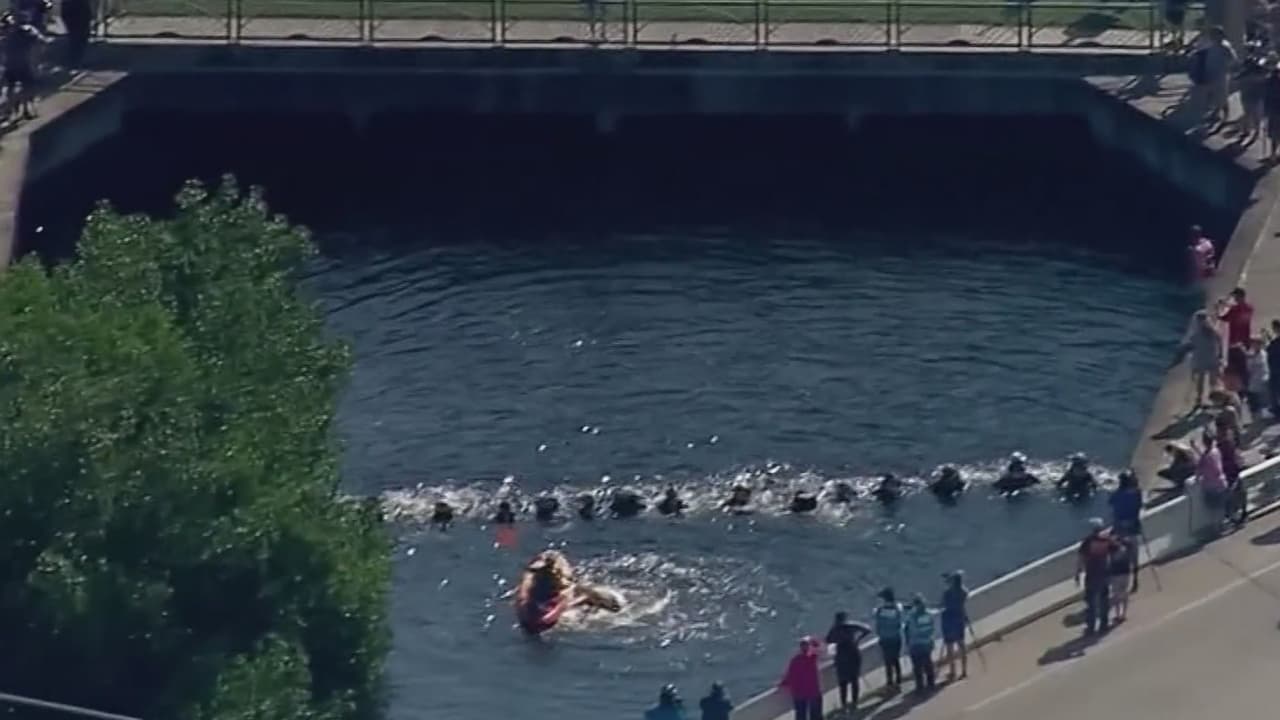 Voluntarios forman cadena humana para salvar a una familia de delfines atemorizados en Florida
