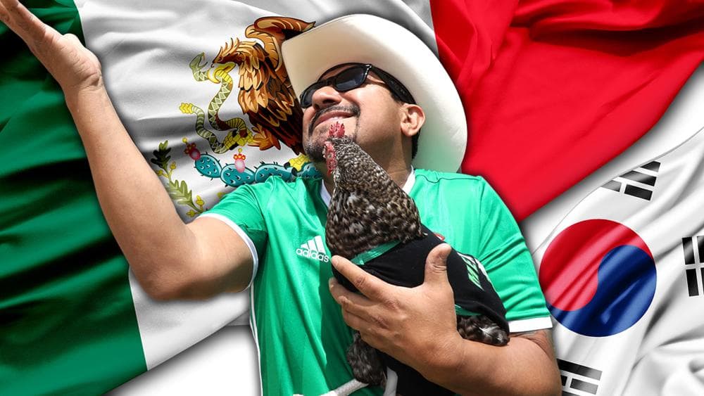 La sucesora del pulpo Paul: la Gallina Vidente y sus mejores predicciones en el 2018