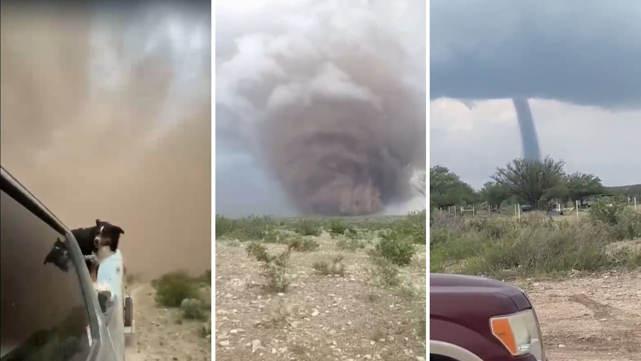 <b><a href="https://www.univision.com/local/san-antonio-kwex/tiempo-severo-riesgo-cuando-lluvias-tormentas-electricas-san-antonio-austin-texas-fotos">Al menos cuatro posibles tornados</a> habrían impactado zonas fronterizas de Coahuila y Texas</b> durante las tormentas severas registradas el martes 26 de mayo, dejando daños en viviendas, carreteras y la red eléctrica en varias comunidades cercanas a la frontera entre México y Estados Unidos.