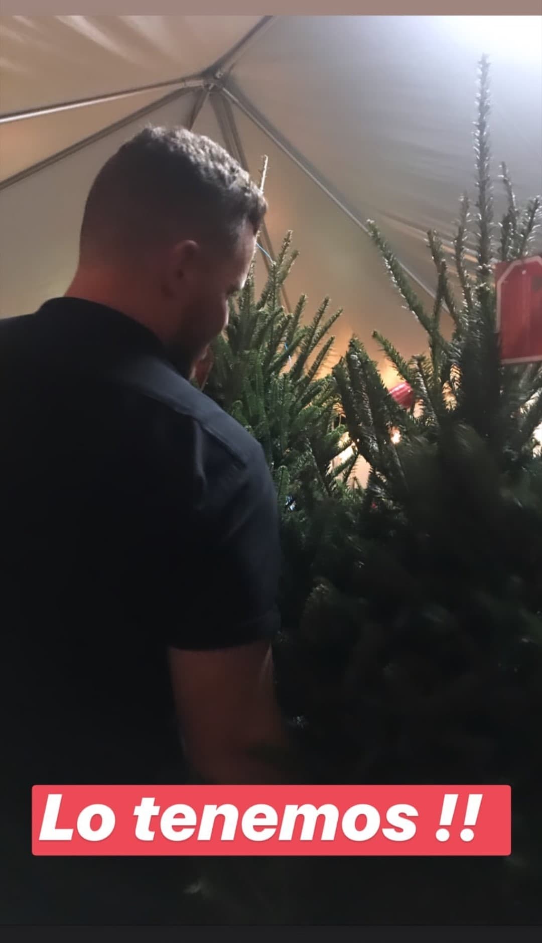 Desde antes de casarse están creando tradiciones familiares, como elegir el árbol navideño.