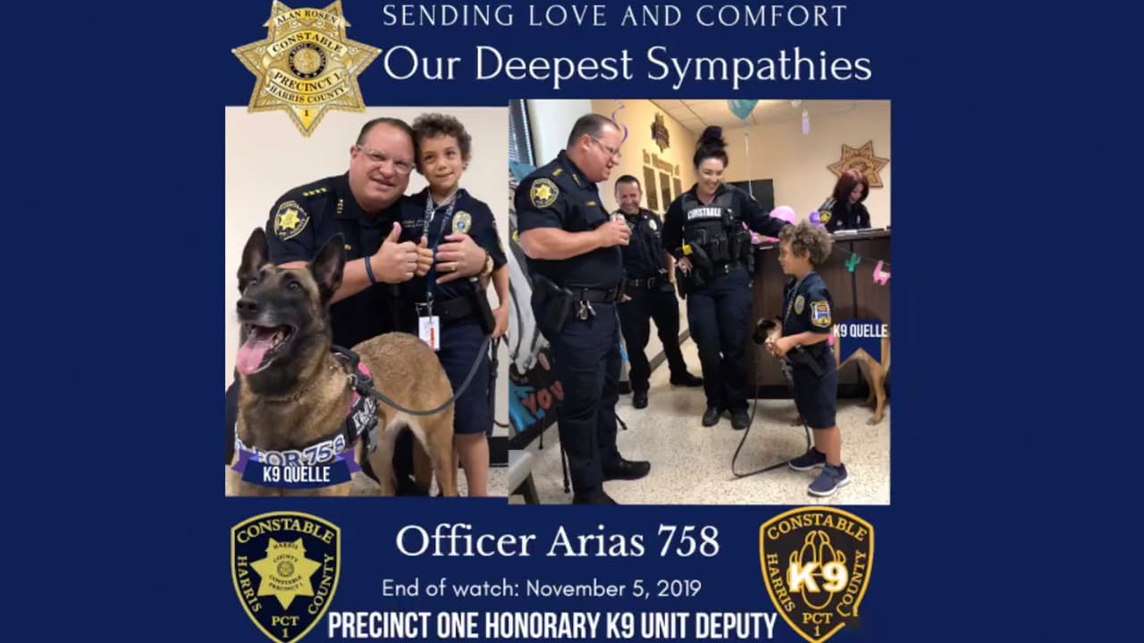 “Su legado continuará levantando los espíritus de todas aquellas vidas que fueron tocadas por ella”.