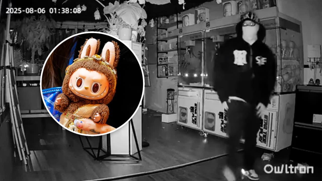 Ladrones roban miles de dólares en muñecos Labubu en el condado de Los Ángeles