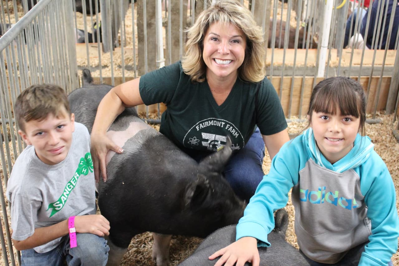 Una segunda etapa se focaliza en la ganadería, la cual permitirá introducir a los estudiantes en la crianza y entrenamiento de animales, ya sean vacas, cabras, cerdos, ovejas, entre otros.