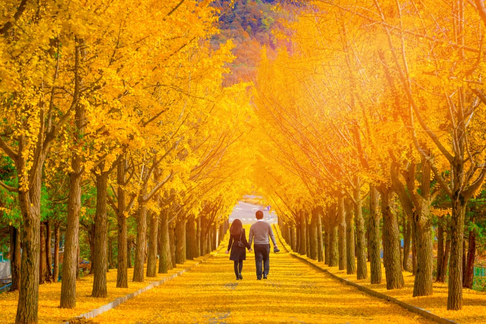 Se verán favorecidos esos encuentros románticos, armoniosos, esas caminatas bajo la luz de la luna, el romanticismo, la poesía y al mismo tiempo un gran sentido de responsabilidad humana ya que detestas las injusticias. 
<br>