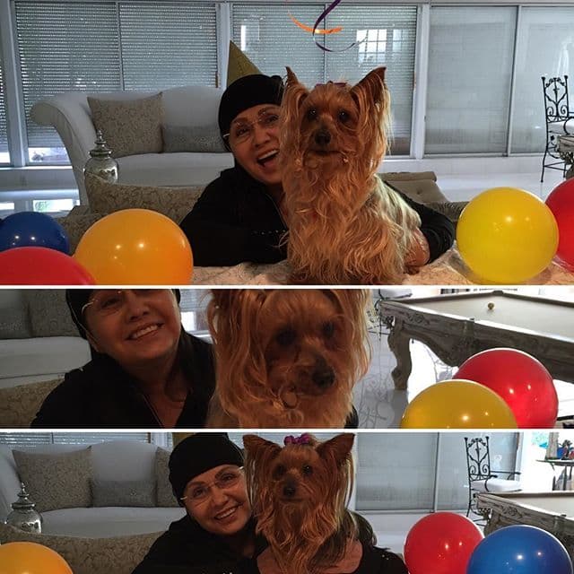 La intérprete de "Tú lo decidiste" se ha declarado fan de sus perritas Mía y Jazz.