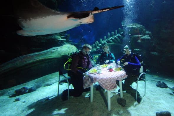 La ´Sustainable Fish Week´ fue el motivo por el cual los buzos del Sea Life London Aquarium se deleitaron con una cena bajo el agua.