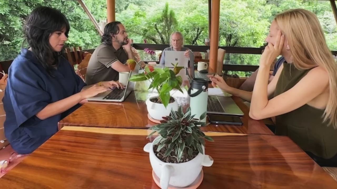 México se vuelve referencia en el tratamiento contra adicciones con ibogaína, pero existen riesgos a considerar