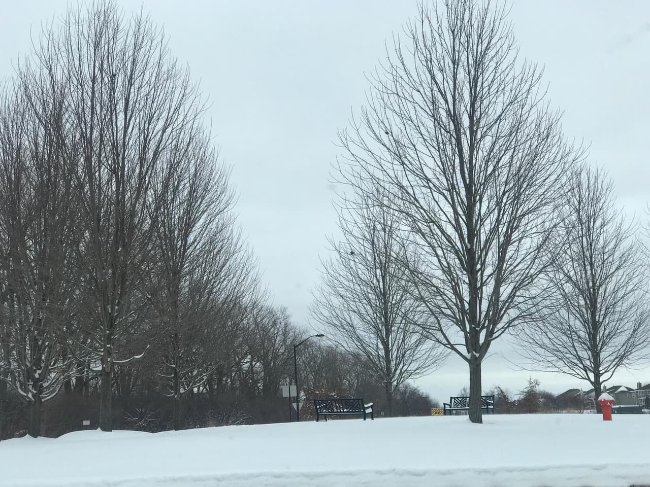 Así luce el area de Chicago después de la primera tormenta de nieve de 2019