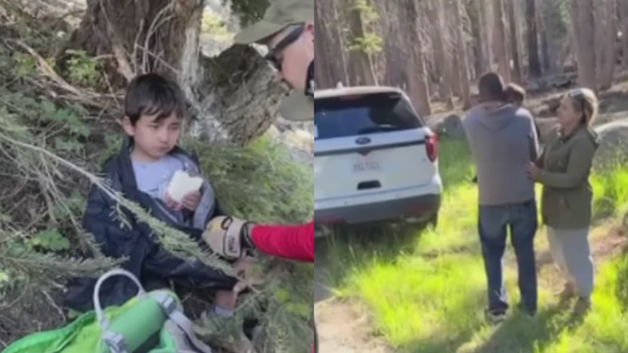 Familia vive horas de angustia por la desaparición de un niño de 4 años en el bosque: así hallaron al menor