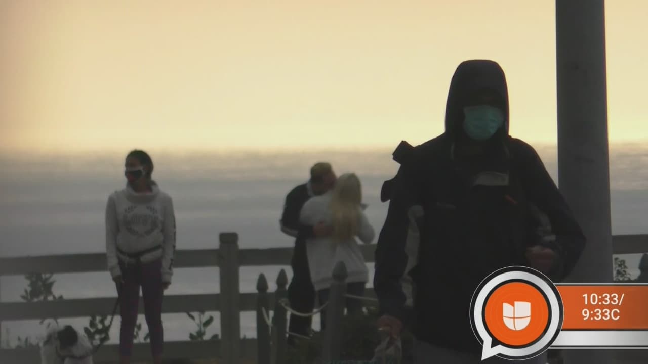 <a href="https://www.univision.com/famosos/estoy-muy-triste-cristian-castro-rompe-el-silencio-sobre-la-muerte-de-su-padre-manuel-el-loco-valdes-video">El primogénito de Verónica Castro</a> agradeció las muestras de cariño: "Lo que más deseo es que la vida nos brinde sus bendiciones. Los que me siguen con verdadero amor 
<b>sé que estarán igual de felices que yo</b>. Muchas gracias a todos, gracias por evidenciar este amor, ustedes son parte también", finalizó en su mensaje.
<br>