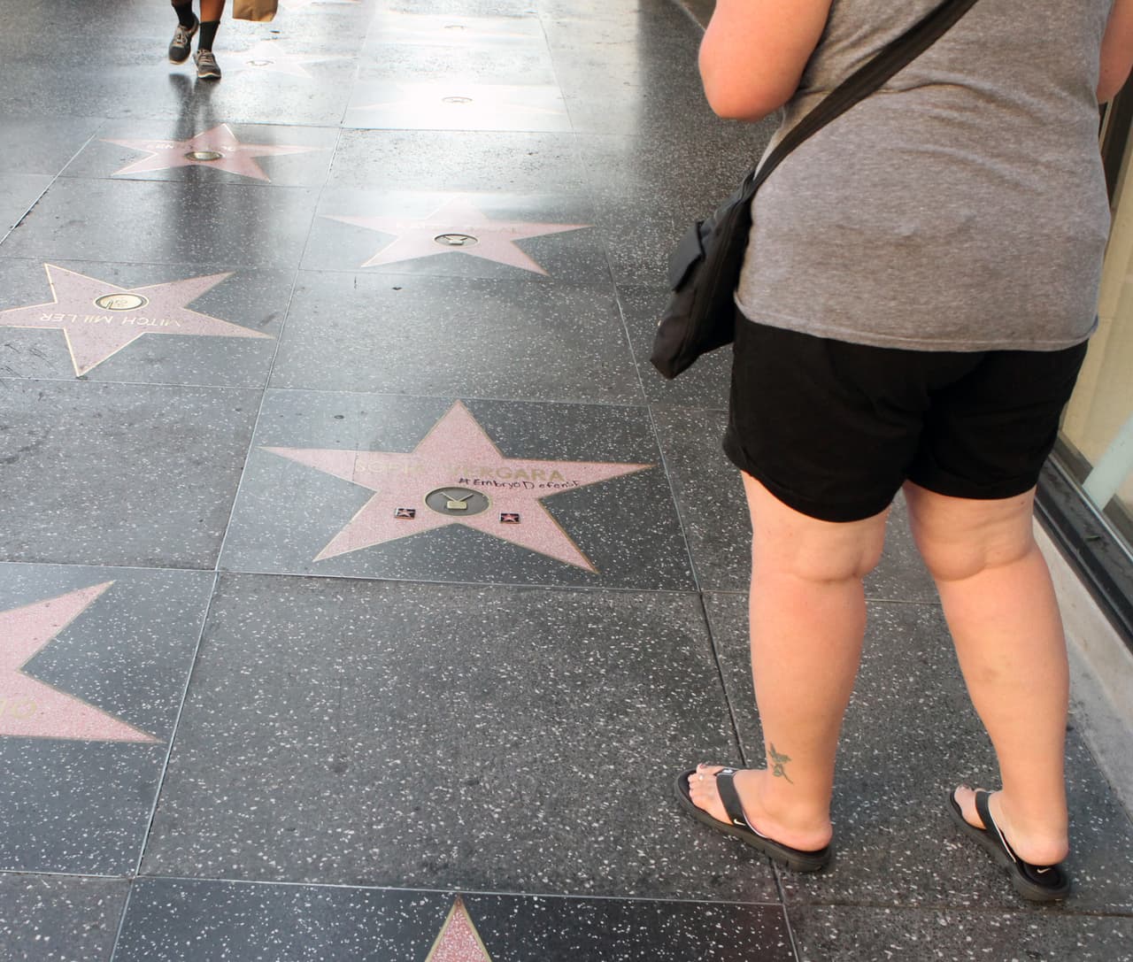 El paseo de la fama de Hollywood fue sede de estos actos de vandalismo.