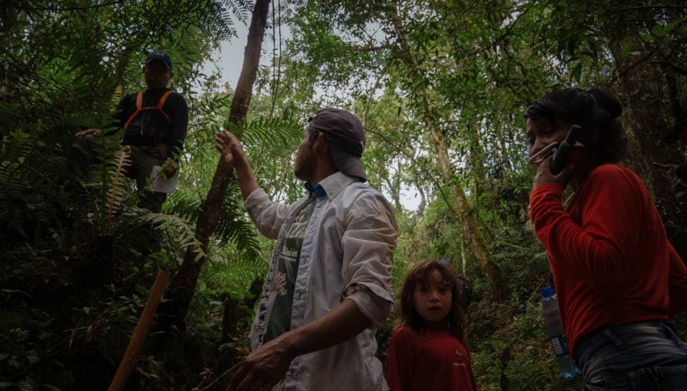 ¿Por qué los ambientalistas se oponen al nuevo plan paraguayo contra el cambio climático?