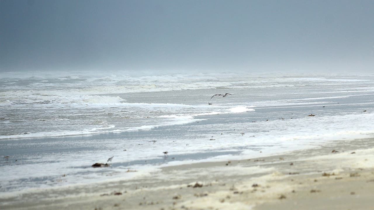 Gobernador de Georgia emite orden de evacuación obligatoria para los seis condados costeros