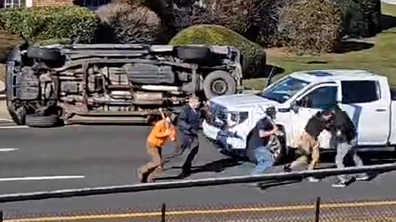 Furia al volante: pelean a golpes tras choque en carretera y son detenidos en Long Island