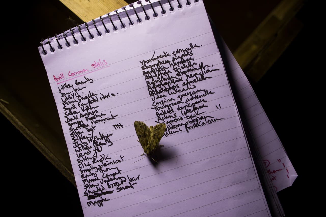 Michael Madsen, curador del Invernadero Tropical del 
<a href="https://tucsonbotanical.org/" target="_blank">Tucson Botanical Gardens</a>, ofrece algunos consejos sobre cómo evitar que entren en su hogar.