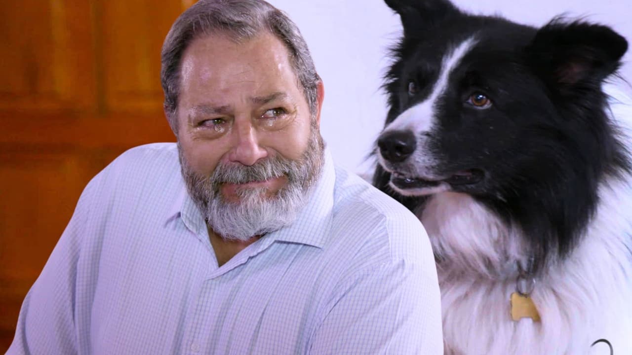 Resumen de La Rosa de Guadalupe capítulo 'El ángel de mi vida'