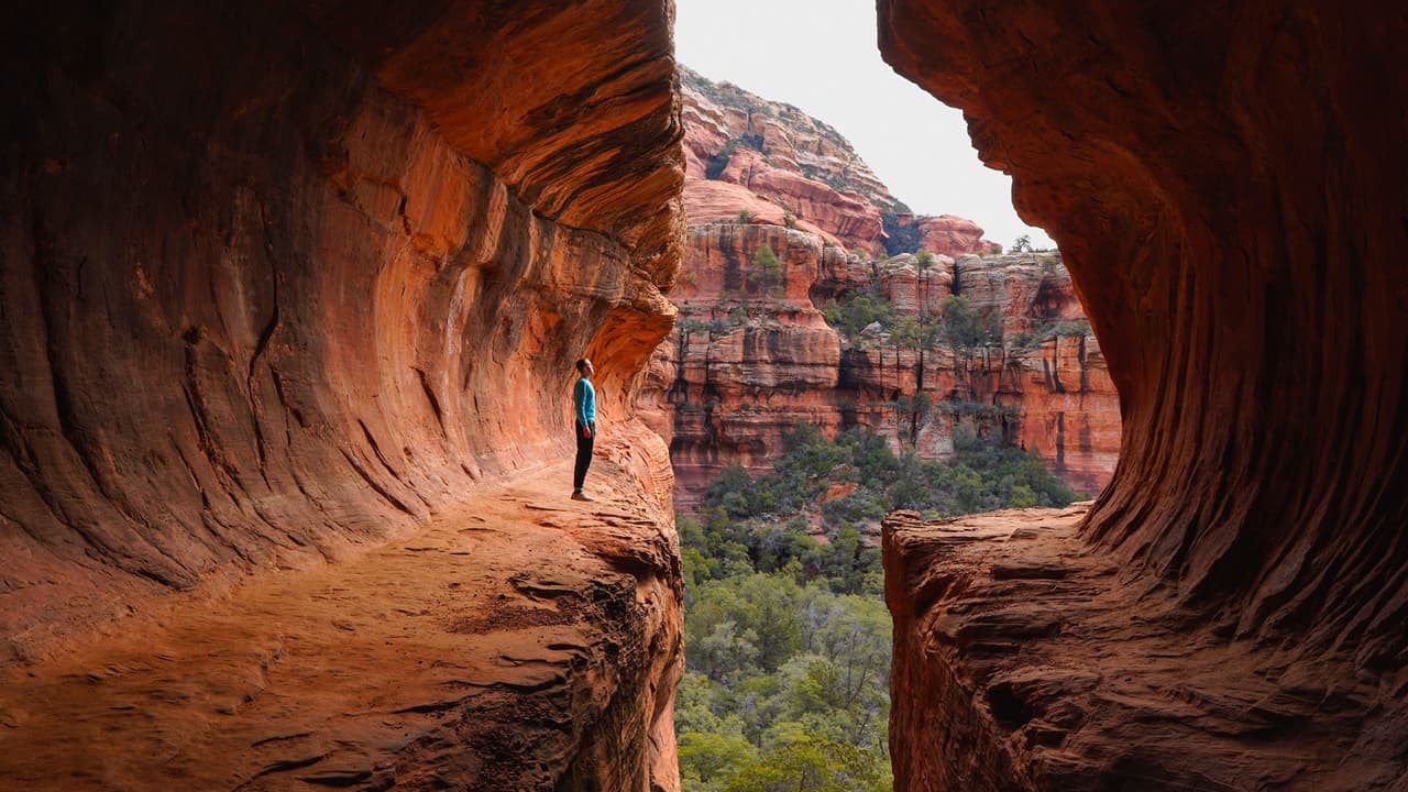 <b>Subway Cave</b>
<br>Esta formación geológica única se encuentra en Sedona, y es una parada obligada y una de las rutas más populares para los amantes del senderismo y escalada. En este lugar podrás encontrar petroglifos, vestigios arqueológicos y artefactos antiguos de los nativos americanos. Una vez en la cima disfrutarás d unas panorámicas sin igual.
<br>
<br>Ubicación: 
<a href="https://maps.app.goo.gl/89PdSHZvSrzk5h7k6" target="_blank">Sedona</a>