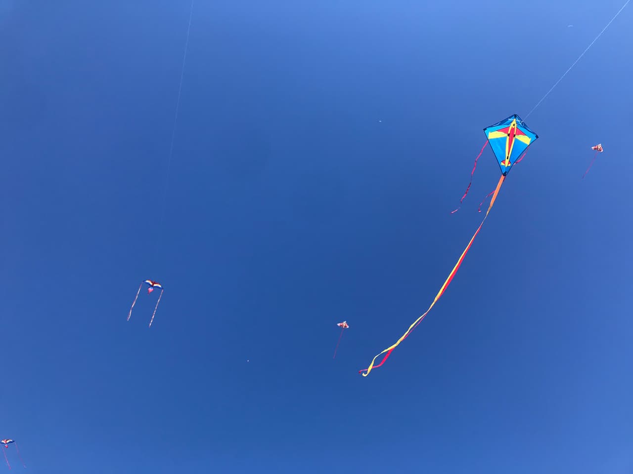 ¡Prepara tu cometa!