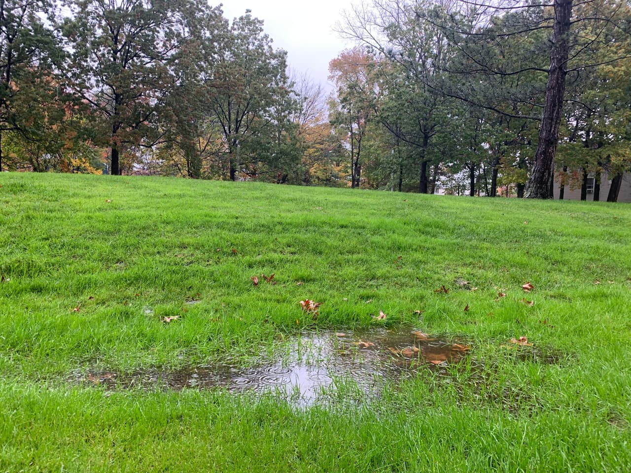 La lluvia se ha vuelto incesante en el área desde el jueves. La foto fue tomada en Edgewater, Nueva Jersey.