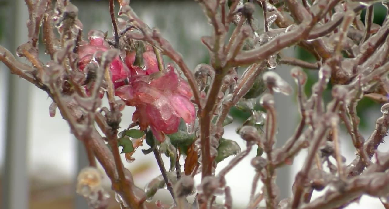 El inususal clima extremo se prolongó por varios días.