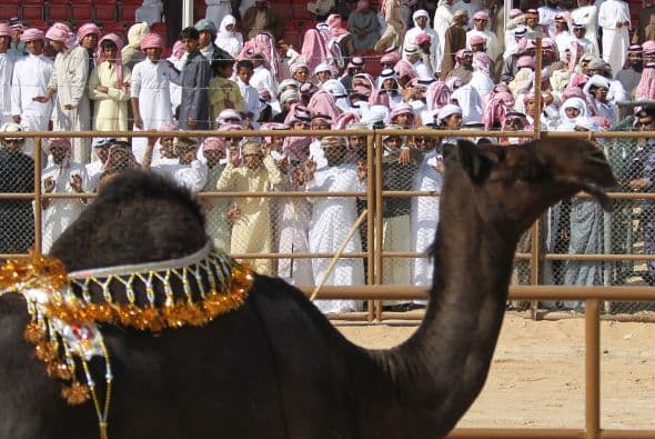 La cuantía de los premios oscila entre los 26.000 y los 52.000 dólares.