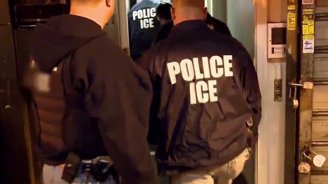 Hablemos de Inmigración: ICE planea invertir hasta $20M en guantes de descarga eléctrica
